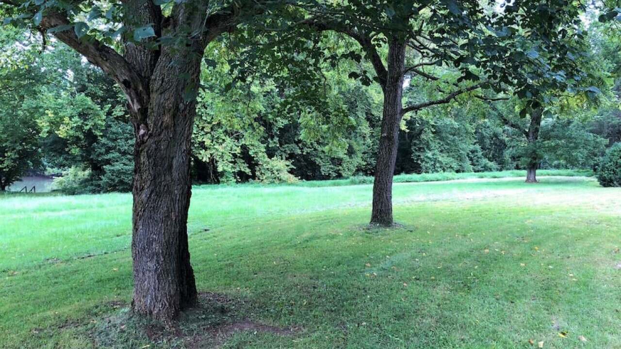 Photo of Others in Luray