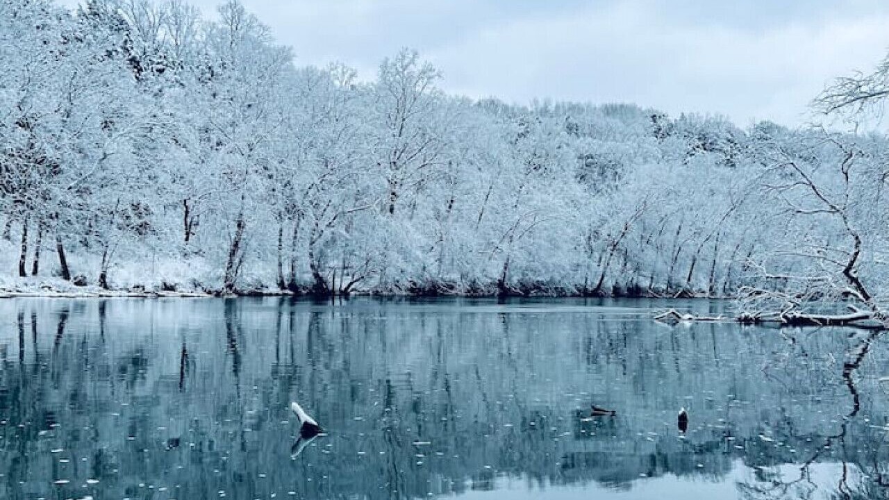 Photo of Others in Luray