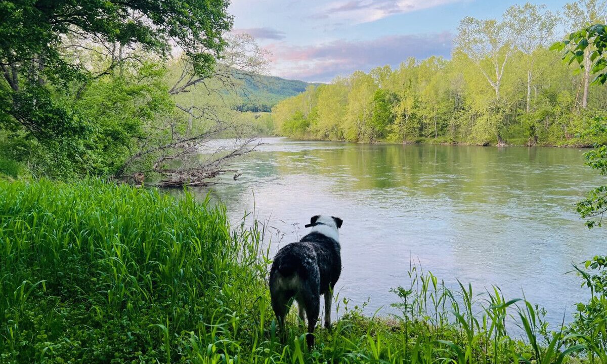 Photo of Others in Luray