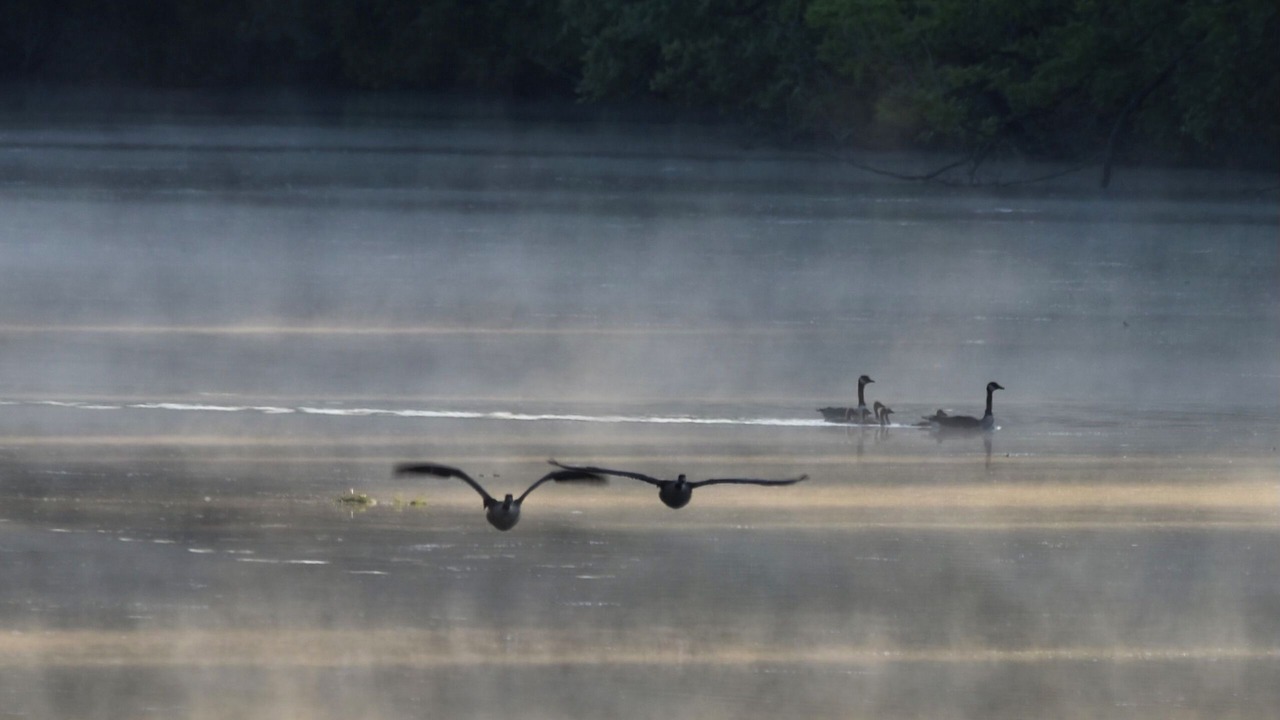 Photo of Others in Burnet