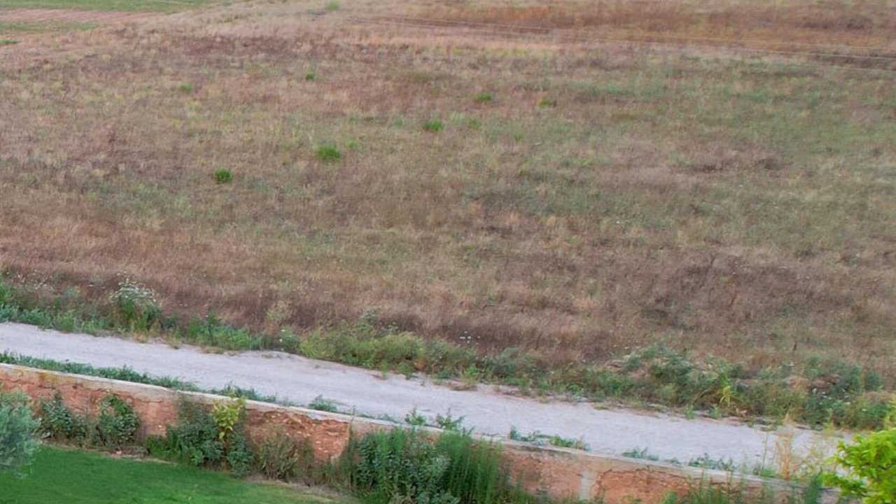 Photo of Outdoor in Vestric-et-Candiac