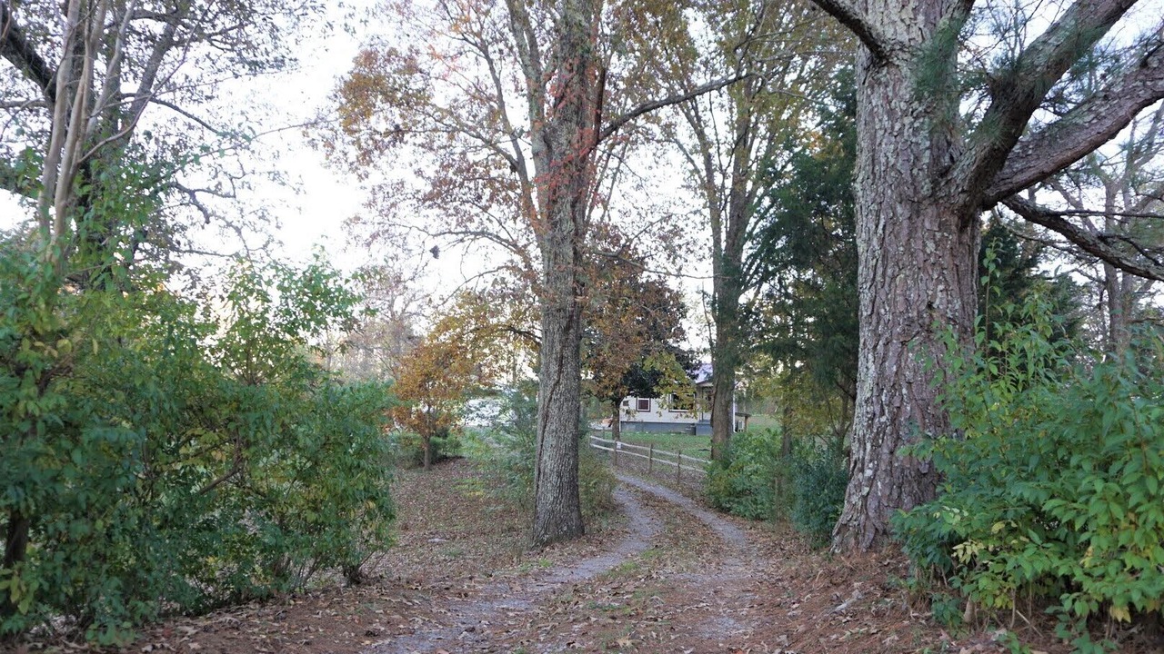Photo of Others in Hickman