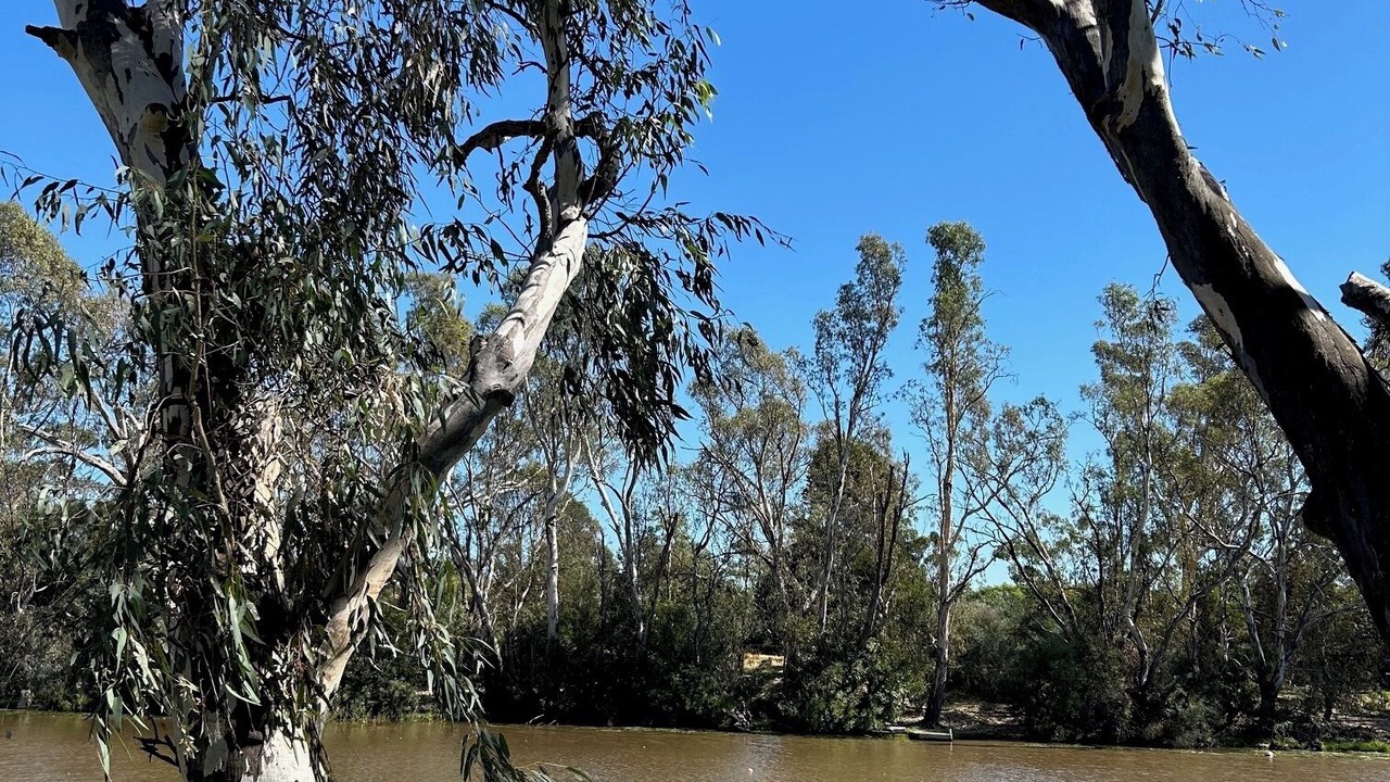 Photo of Others in Bridgewater on Loddon