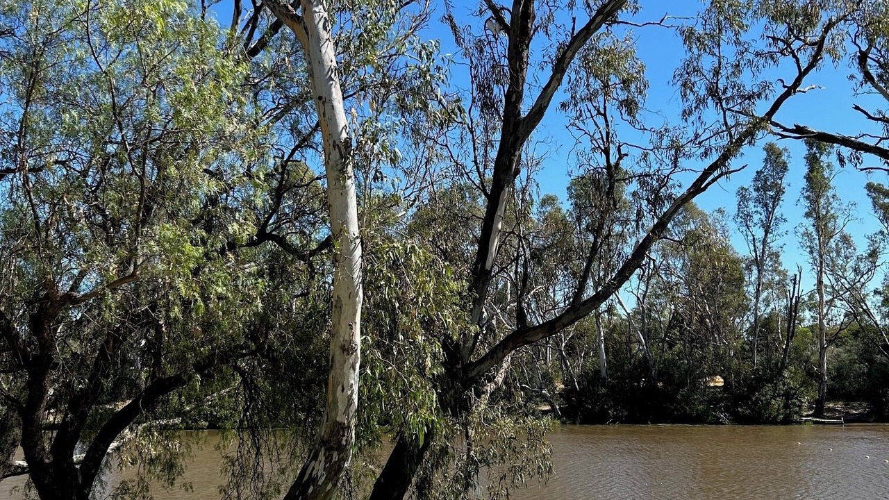 Photo of Outdoor in Bridgewater on Loddon