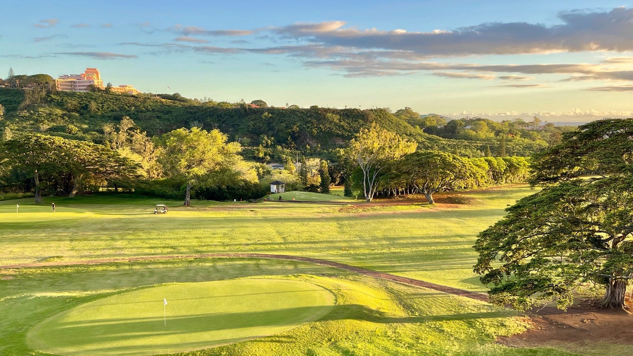 Photo of Others in Moanalua