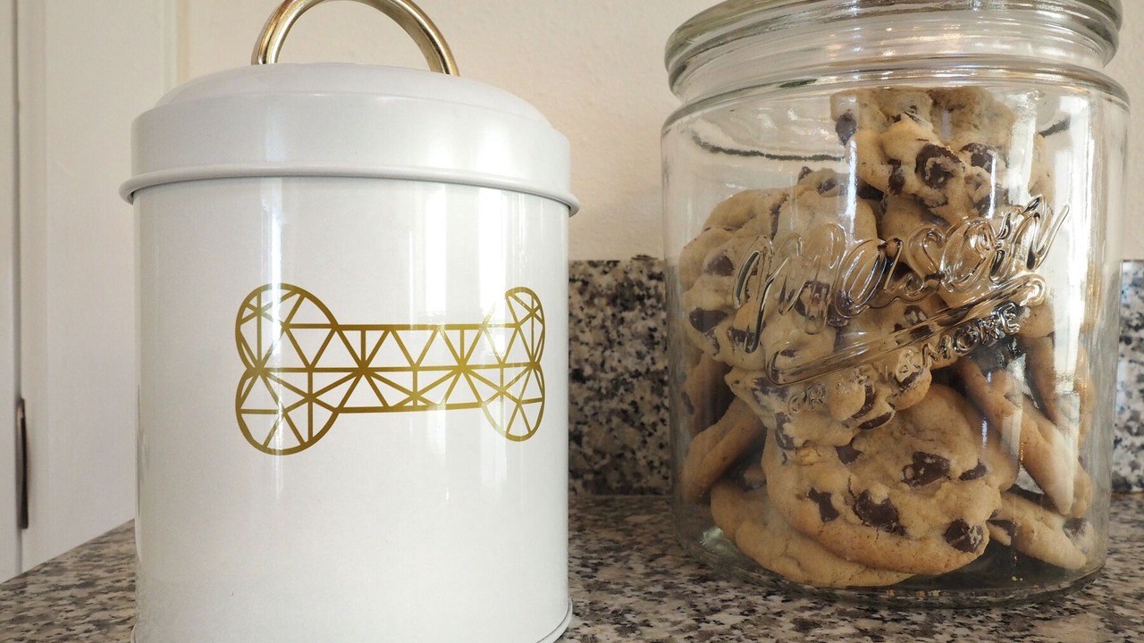 Photo of Others in Bodega Bay