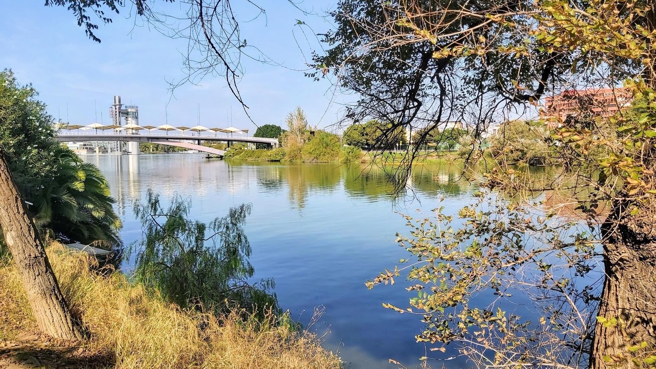 Photo of Outdoor in Triana