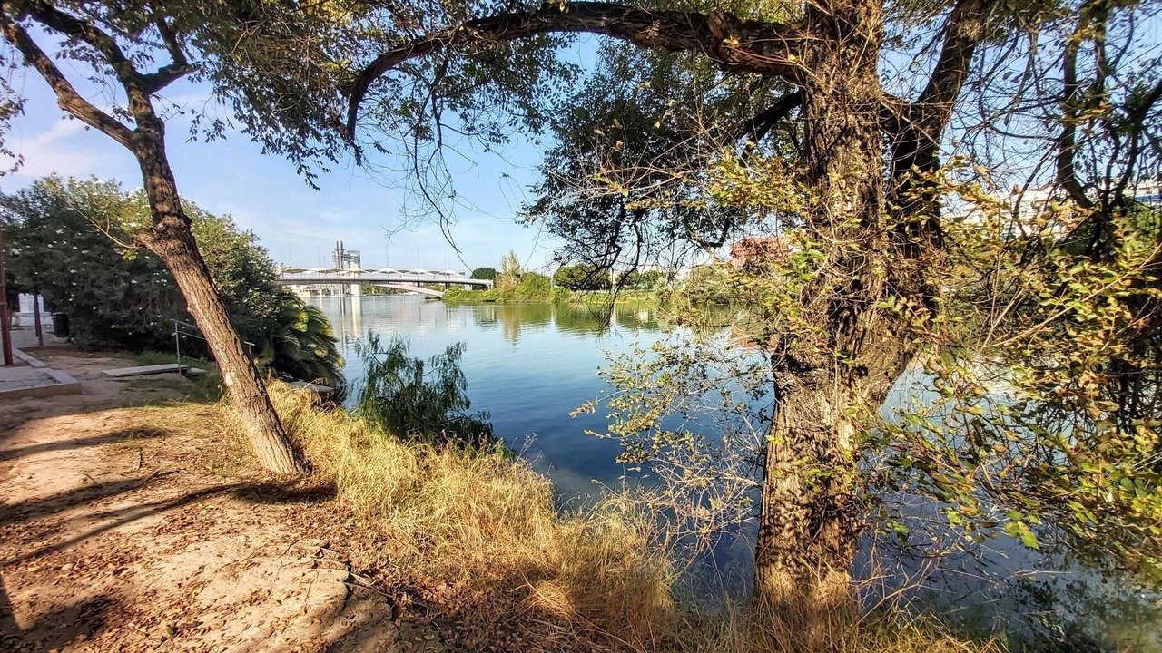 Photo of Outdoor in Triana
