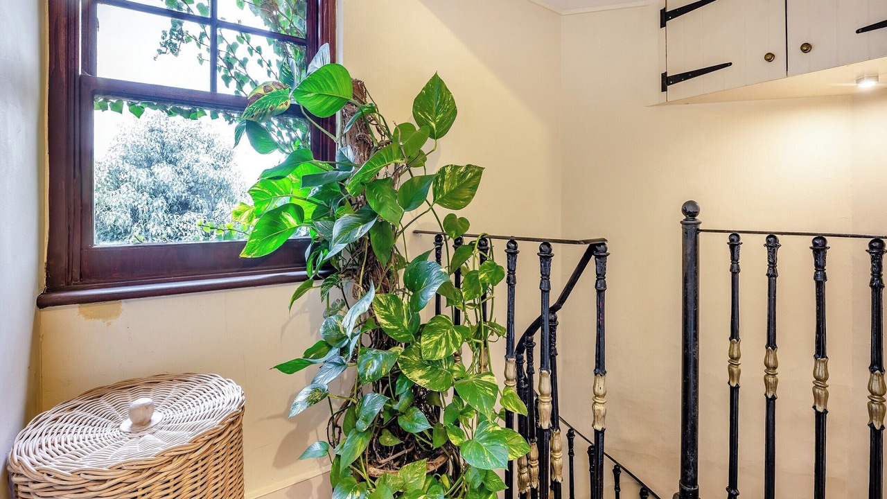 Photo of Others in Brighton