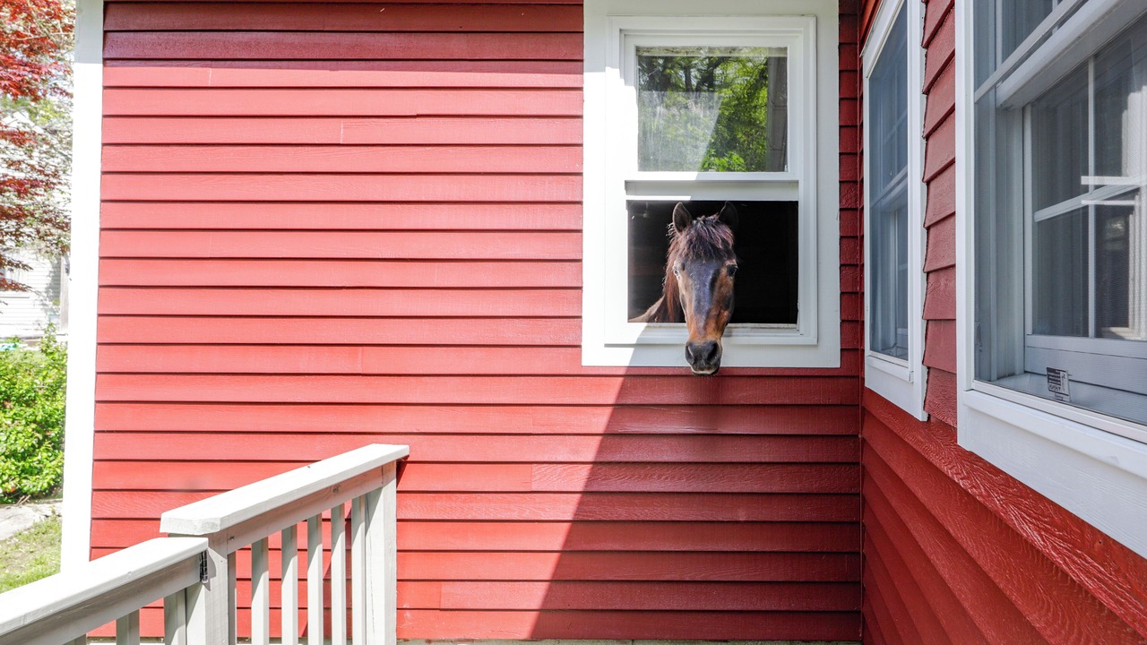 Photo of Outdoor in Ballouville