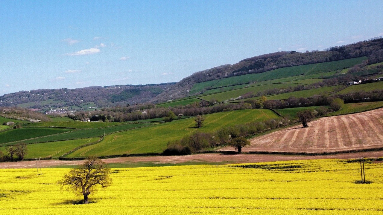 Photo of Others in Mitchel Troy