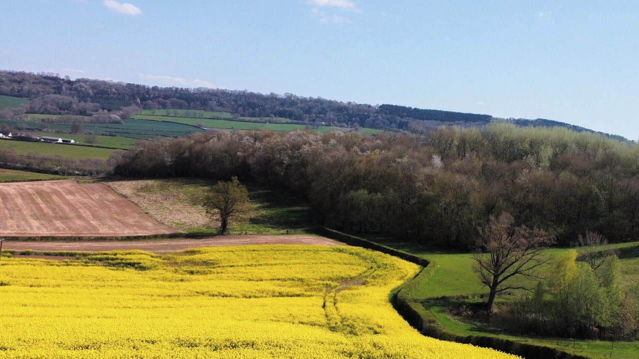 Photo of Others in Mitchel Troy