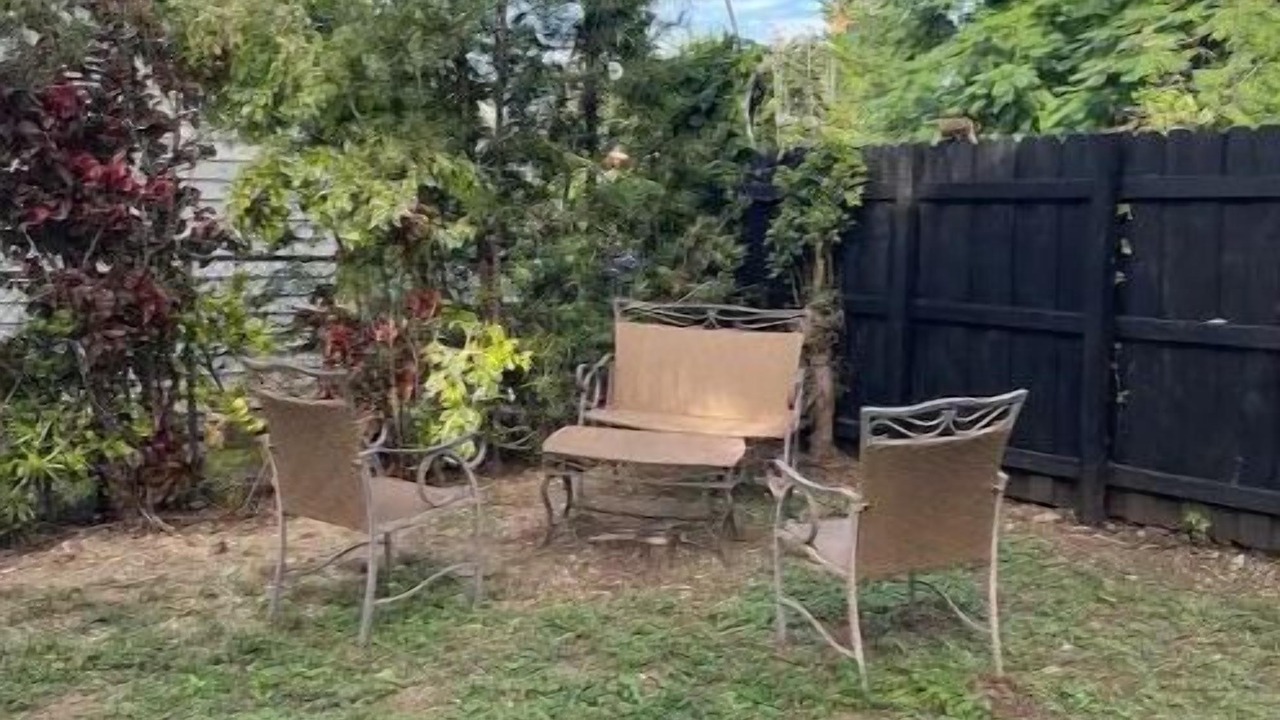 Photo of Outdoor in Little Haiti