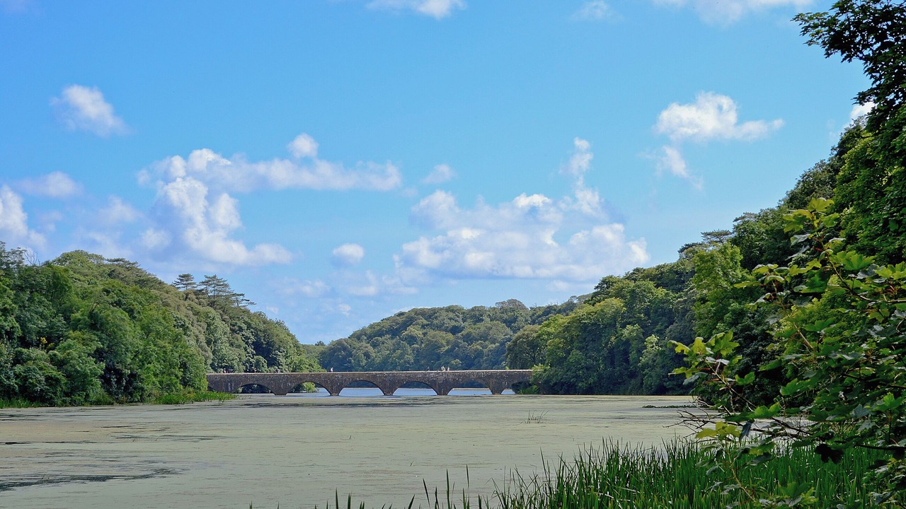 Photo of Others in Stackpole