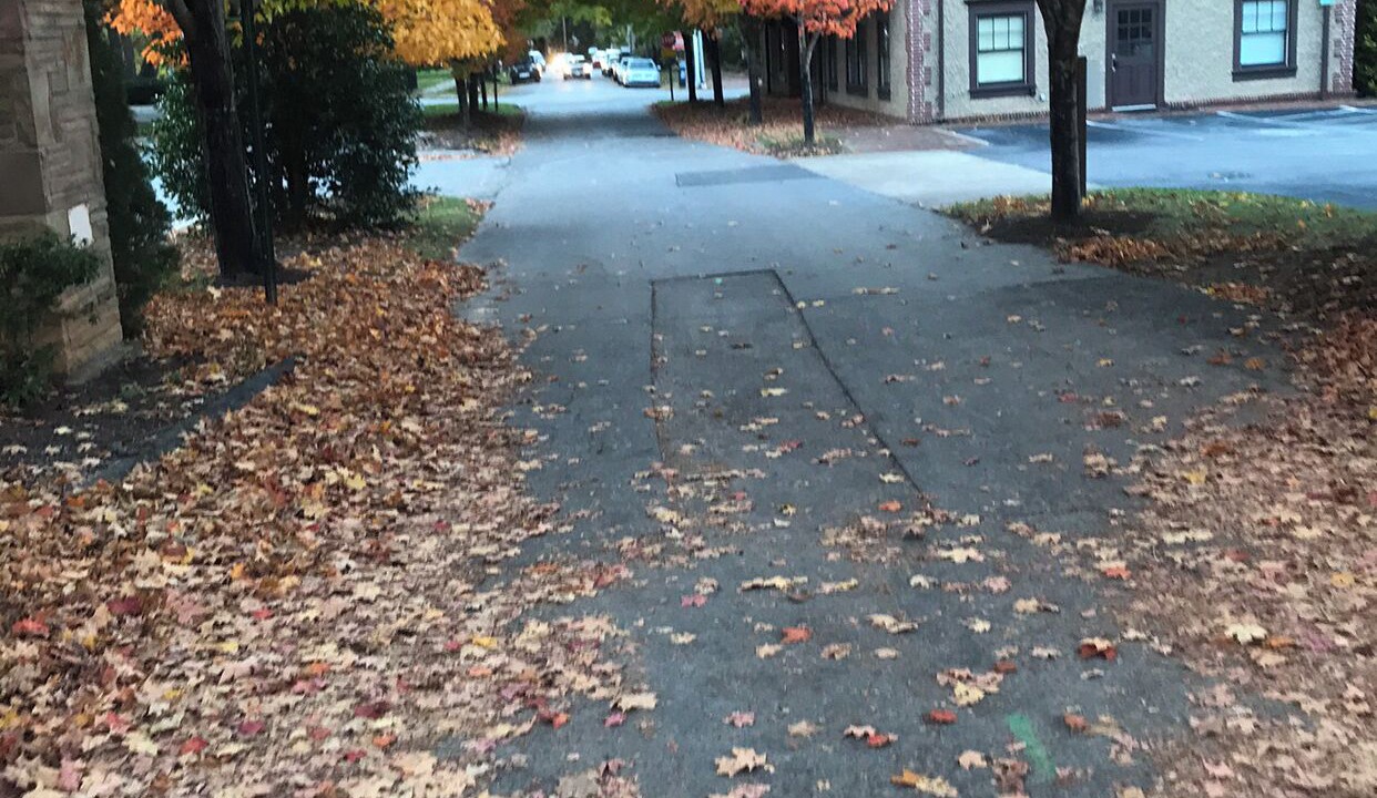 Photo of Others in Biltmore Forest