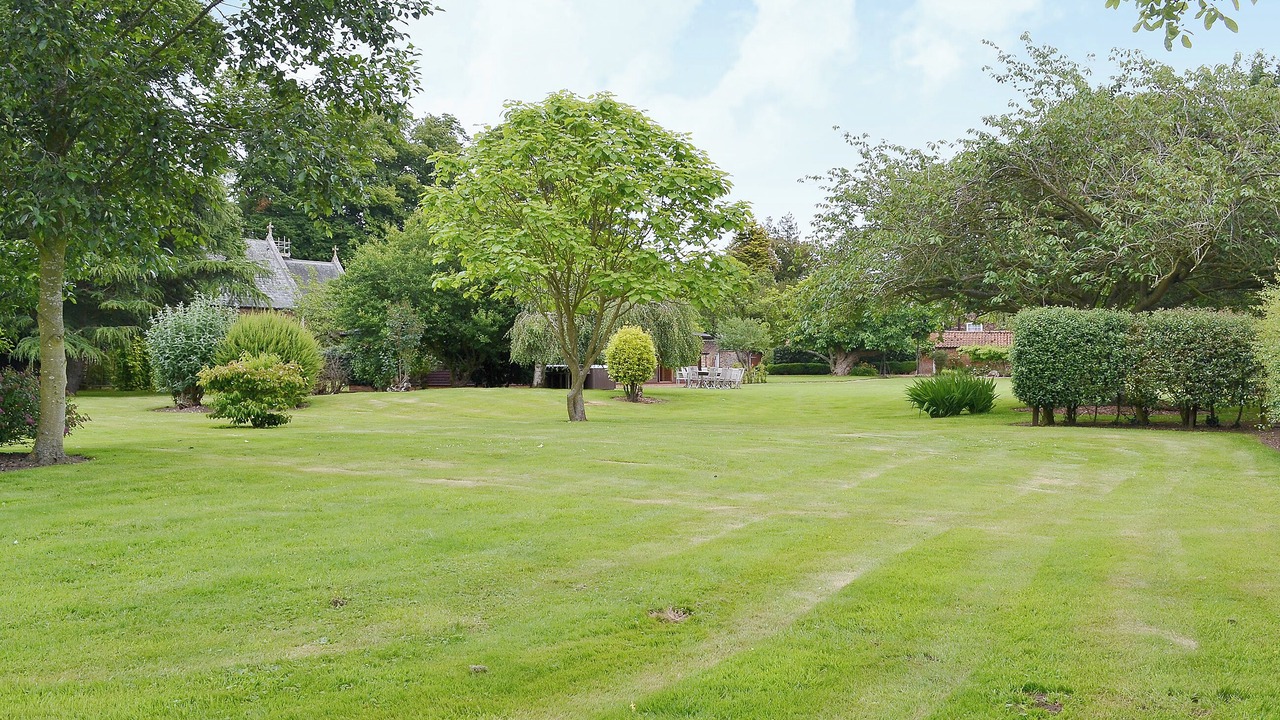 Photo of Outdoor in Tilney Fen End