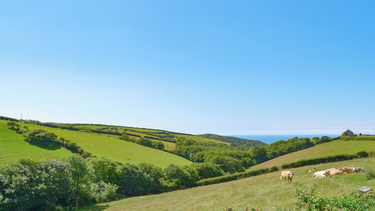 Photo of Others in Saint Gennys