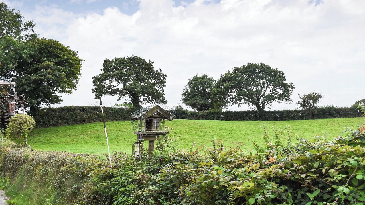 Photo of Others in Mabe