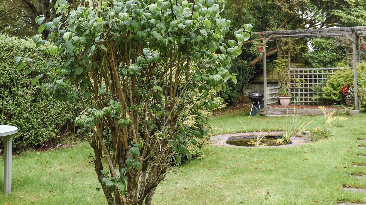 Photo of Outdoor in Mabe