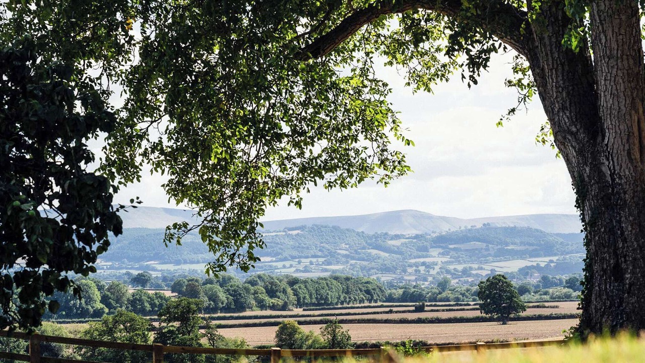 Photo of Others in Westbrook Court