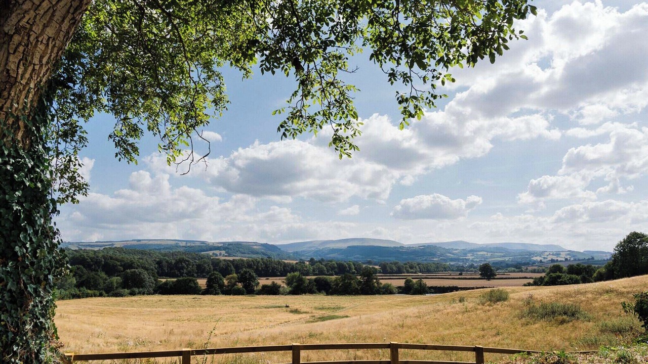 Photo of Others in Westbrook Court
