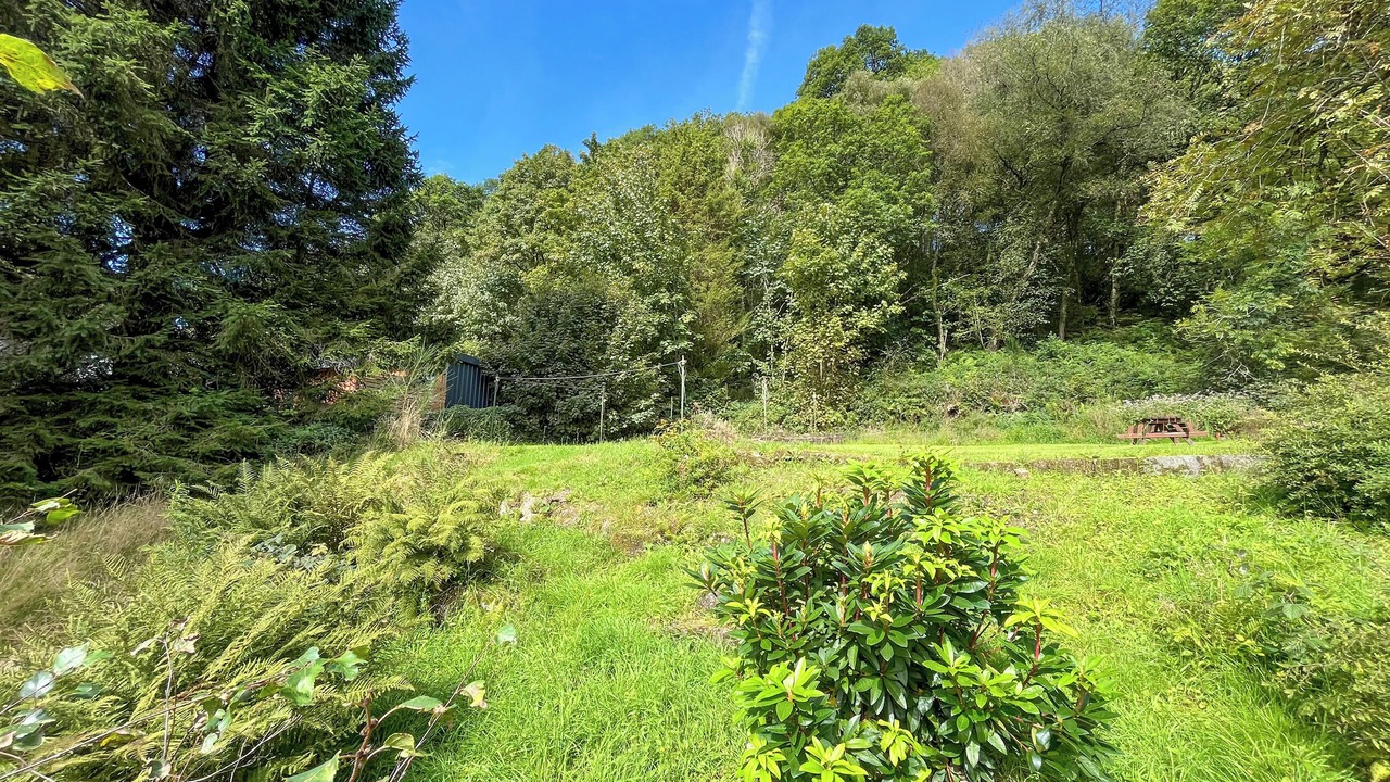 Photo of Outdoor in Aberfoyle