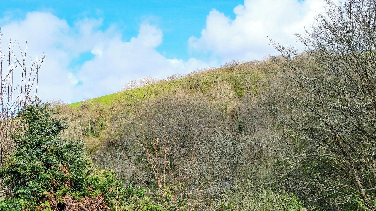 Photo of Others in Boscastle