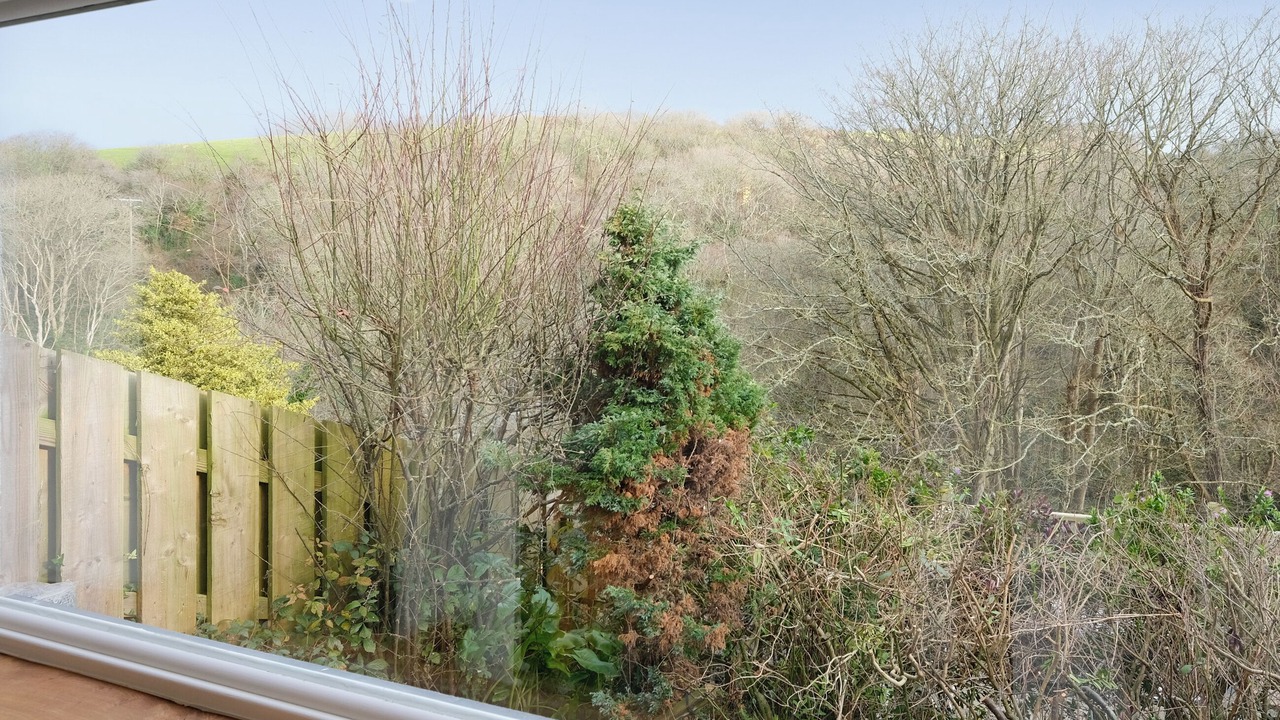 Photo of Bedroom in Boscastle