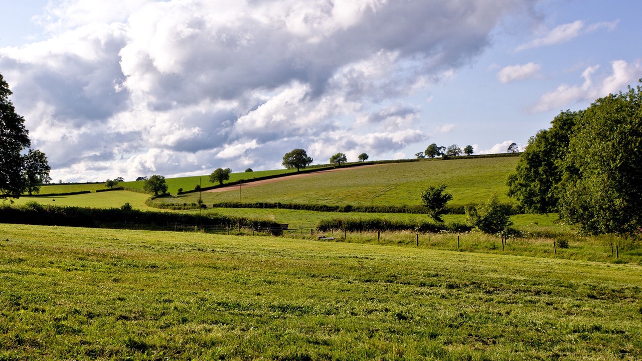 Photo of Others in Higher Wambrook