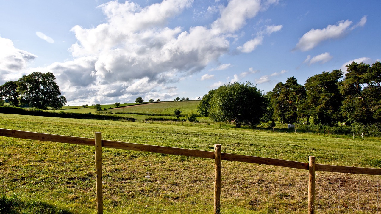 Photo of Others in Higher Wambrook