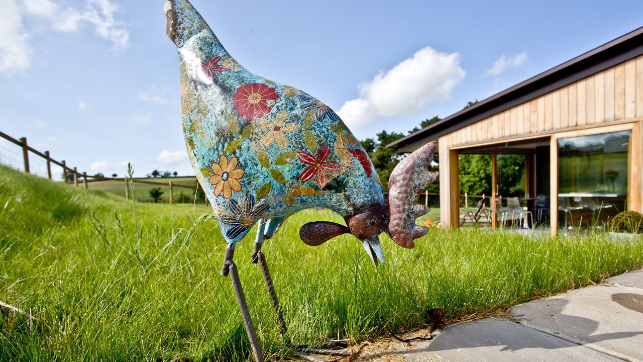 Photo of Outdoor in Higher Wambrook