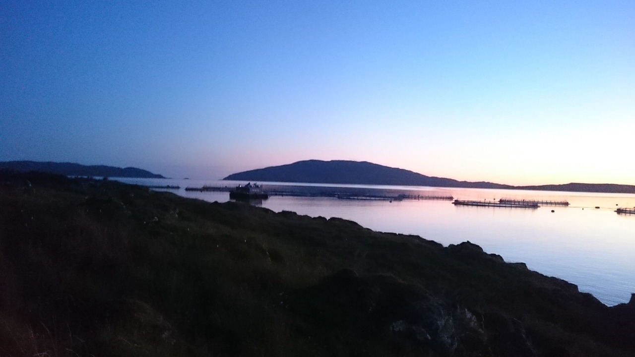 Photo of Others in Isle of Luing