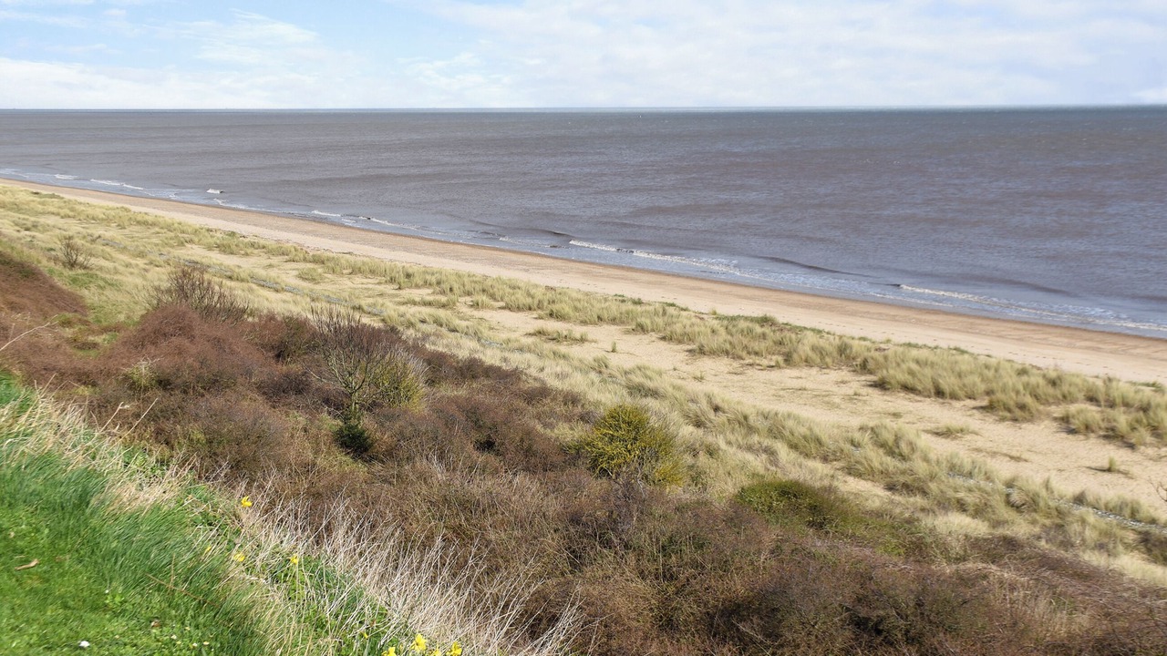 Photo of Others in Scratby