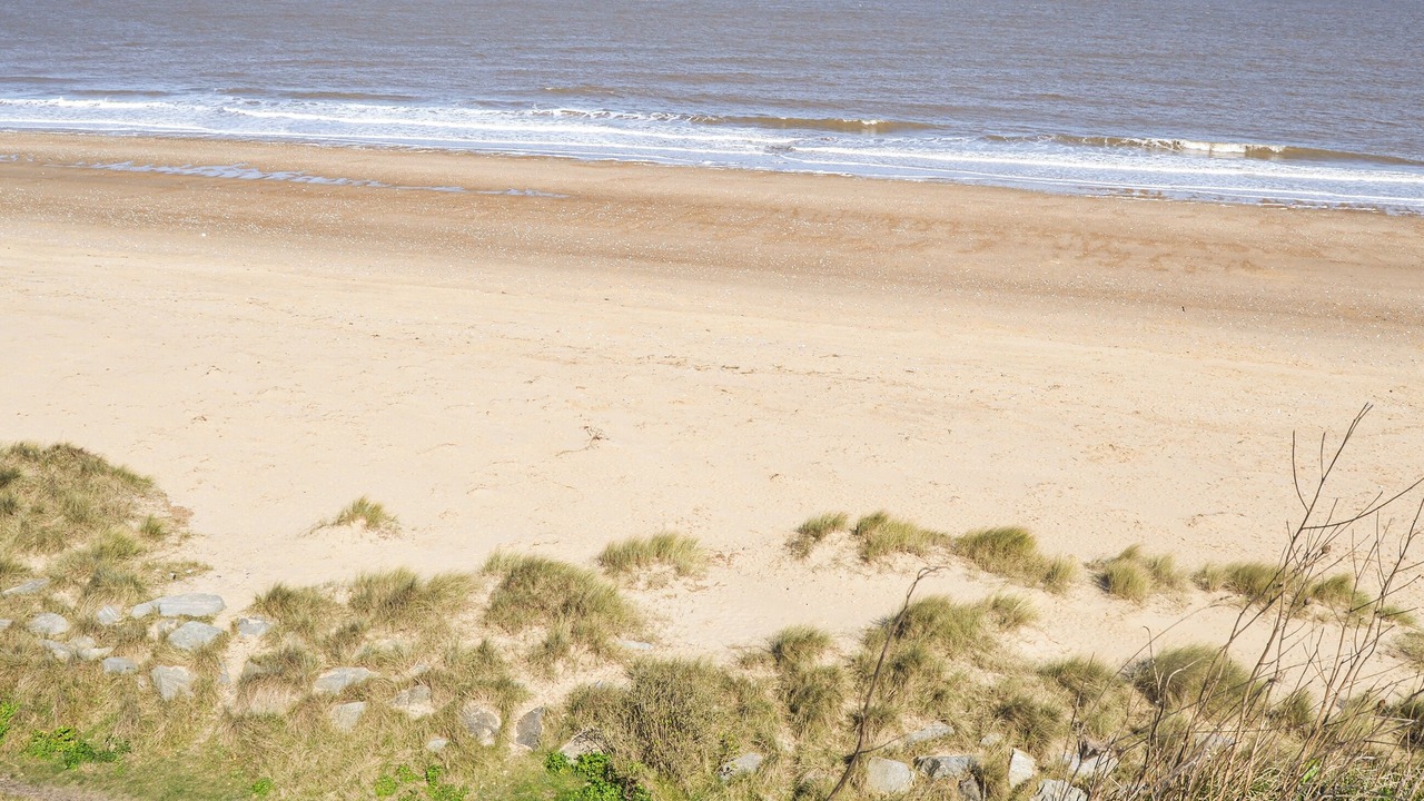 Photo of Others in Scratby