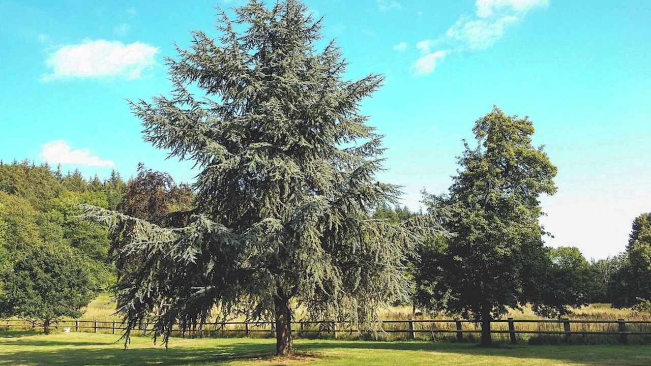 Photo of Outdoor in Touques