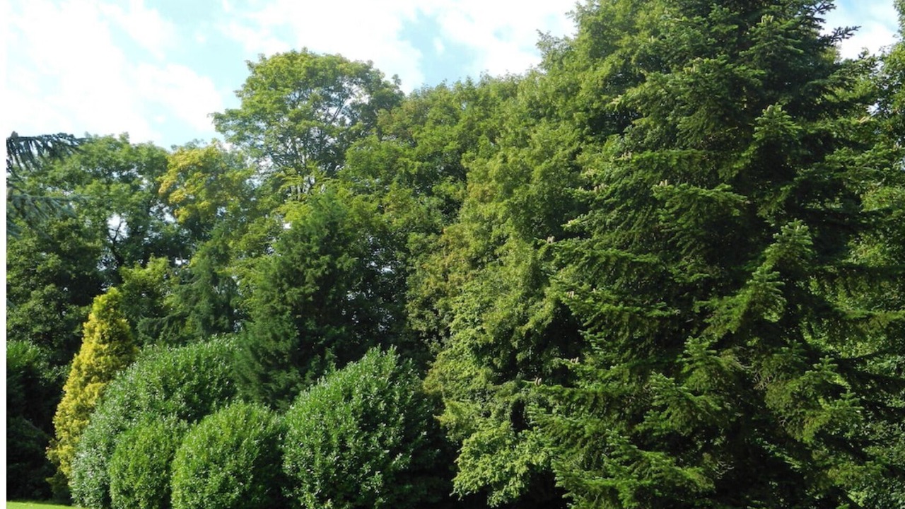 Photo of Outdoor in Touques