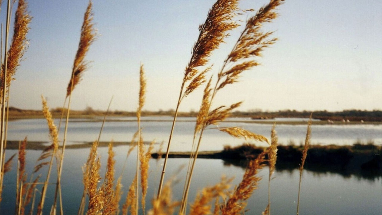 Photo of Others in Costieres