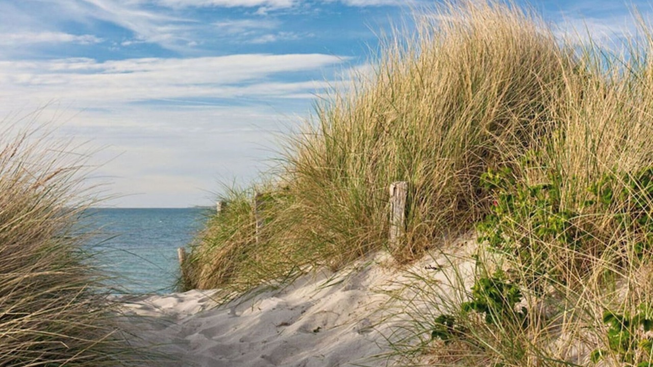 Photo of Others in Costieres