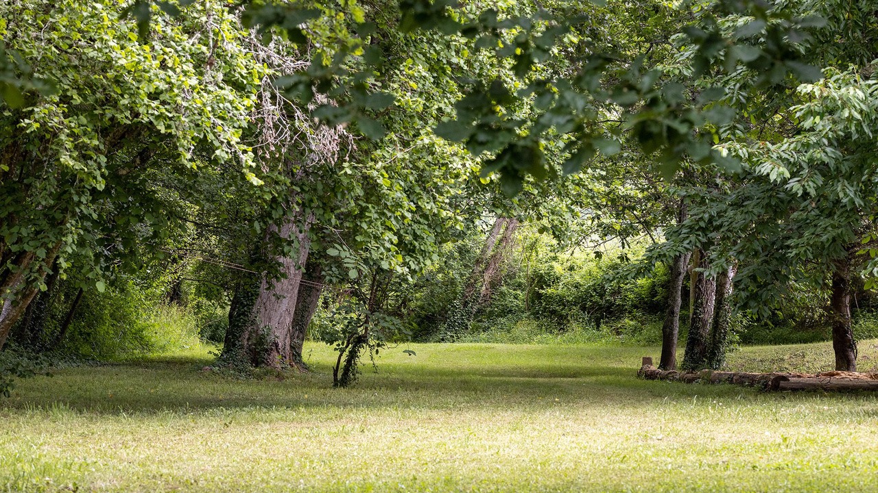Photo of Outdoor in Luzech
