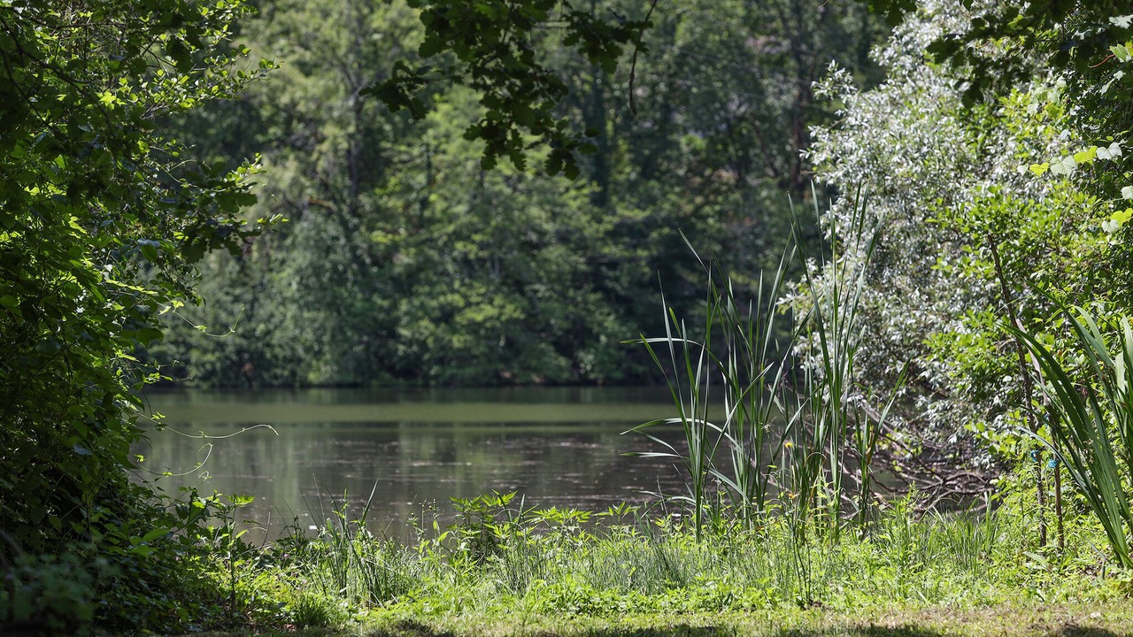 Photo of Outdoor in Luzech