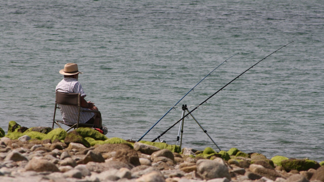 Photo of Others in Pont-l'Abbe