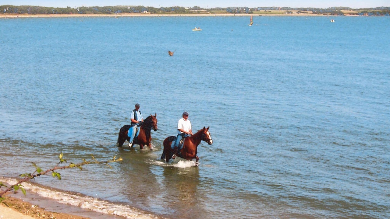 Photo of Others in Penestin