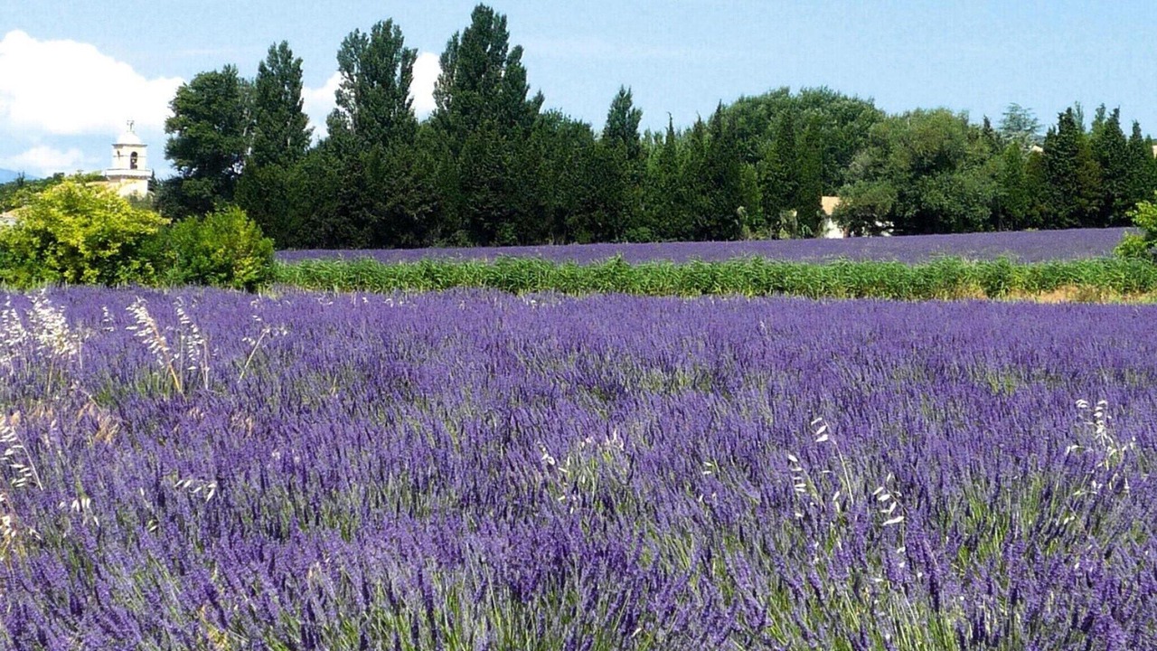 Photo of Outdoor in Redortiers