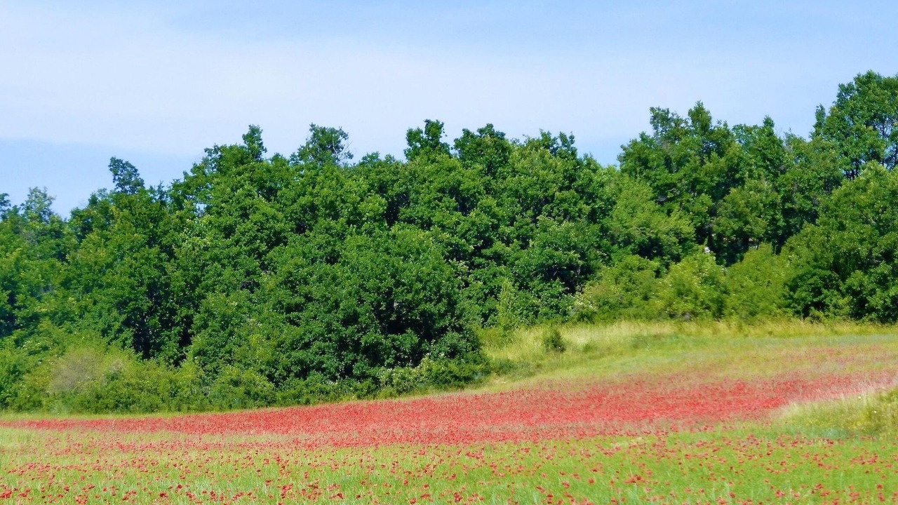 Photo of Others in Redortiers