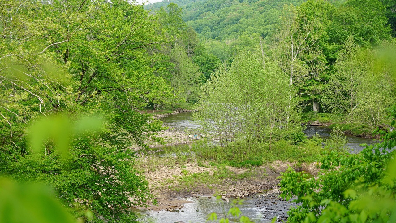 Photo of Others in Leadsville