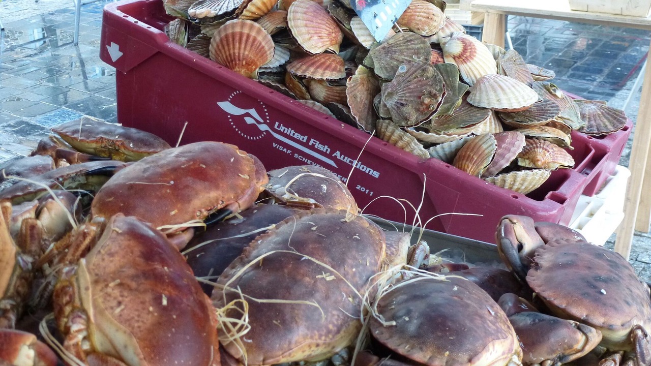 Photo of Others in Saint-Brieuc