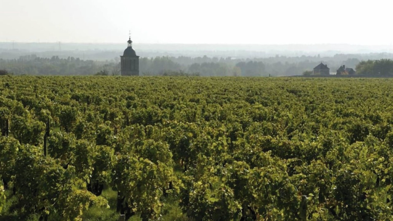 Photo of Outdoor in Amboise