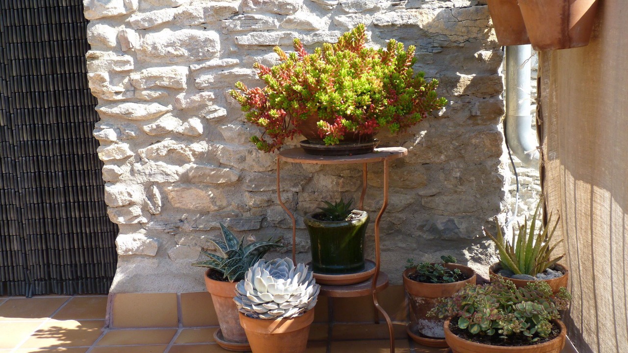 Photo of Others in Castigaleu