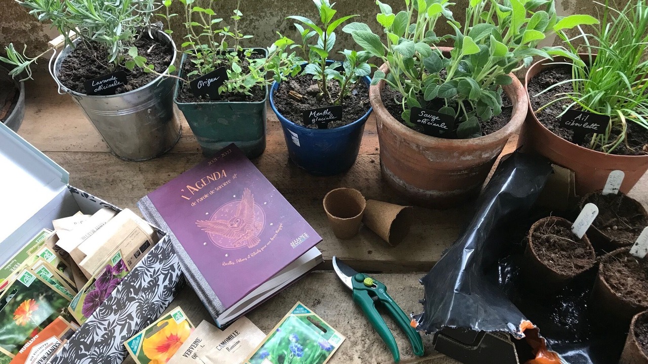 Photo of Outdoor in Saint-Laurent-de-Terregatte