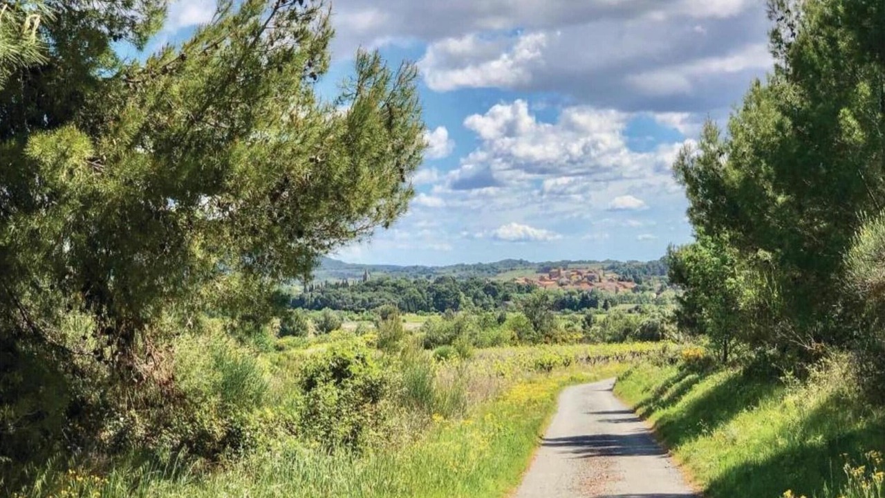 Photo of Others in Montbrun-des-Corbieres